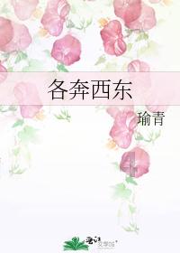 小艾比摄影家